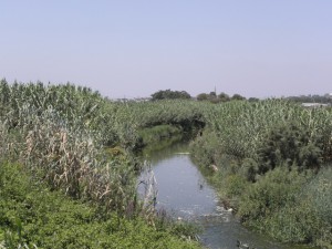 איור 19ב