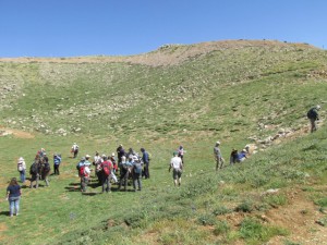 דולינת הגלגל בחרמון. גדי פולק ???????????????????????????????