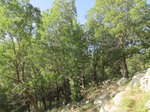 ???????????????????????????????