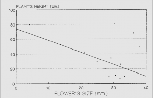 4- Flower size by plany hieght