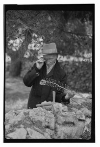 הבוטנאי ג'ון דינסמור פרחים מיבשים 17