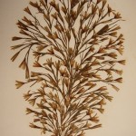 זהביות מיובשות באלבום מהודר פרחים מיובשים 14