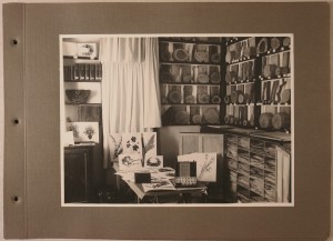 חדרו של דינסמור במושבה האמריקאית פרחים מיובשים 17