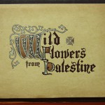 צילום כריכת קרטון של אלבומים שבהם הדגש הוא על צמחים מסוימים. פרחים מיובשים 4א