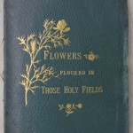 צילום כריכת קרטון של אלבומים שבהם הדגש הוא על צמחים מסוימים. פרחים מיובשים 4ג