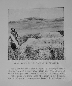 בורדניקוף-פורסט מצולם ליד קבר מנוח. ברקע – תל צרעה פרחים מיובשים 5