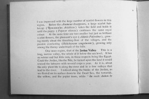 תיאור רצף הפרחים האדומים באחד האלבומים של גרין פרחים מיובשים 5א