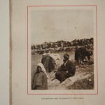 איסוף הפרחים פרחים מיובשים 6