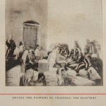 החלפת הנייר הסופג פרחים מיובשים 8