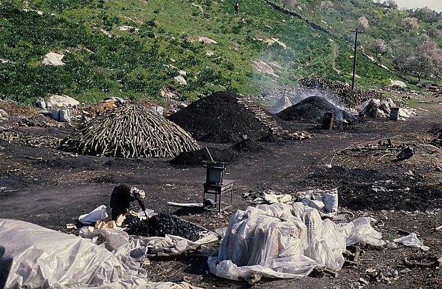 תעשיית פחמים ביעבד (צולם ב-1968) . צילם: עוזי פז ©