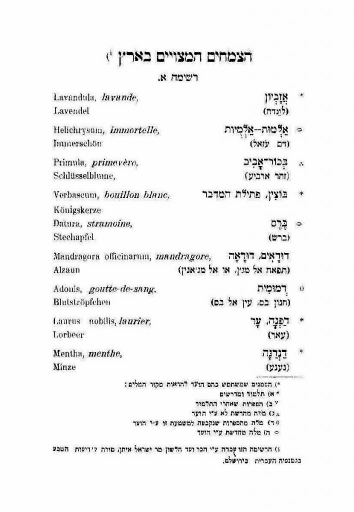 העמוד הראשון ברשימת "הצמחים המצויים בארץ" ועד הלשון 1913. מקור: אתר האקדמיה ללשון עברית.