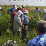 7 ירבוז הגדות 2013 סיור אגודת עשבים שוטים ב.רובין