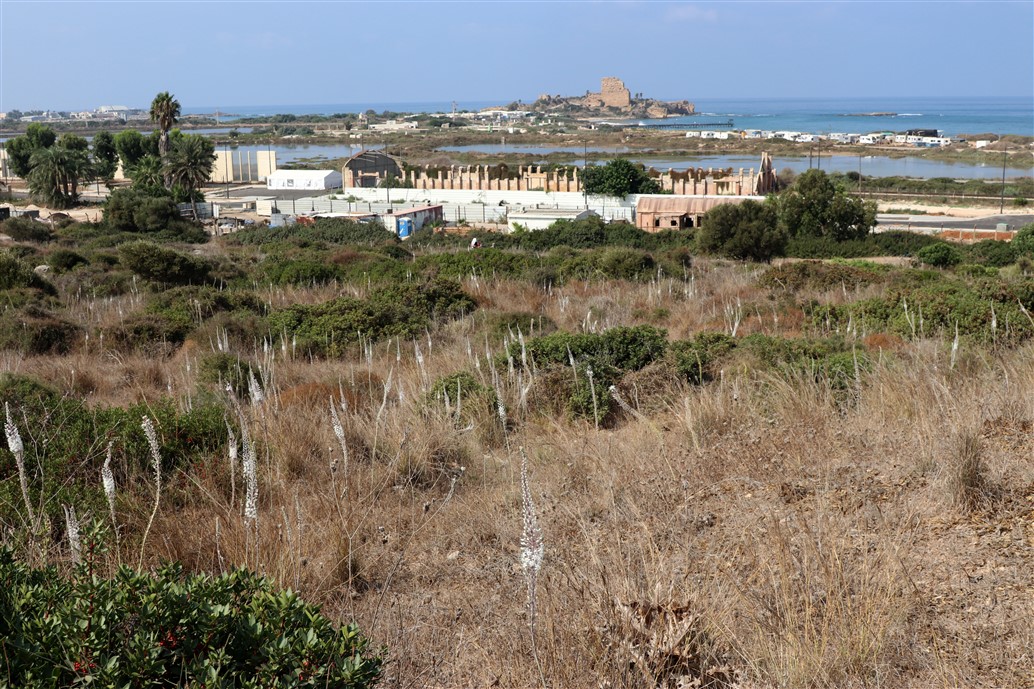 חצב 16.9.20 עתלית א.פיק