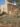 משטחי פריחה של סתוונית היורה בגבעת התנ"ך בירושלים: מדוע סתוונית היורה כה שופעת השנה?